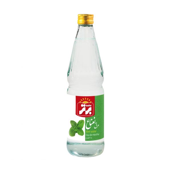 Mint Water 12 x 500 ml
